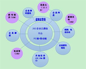 二六三 瞄準未來，鑄就企業互聯網通信與信息服務王牌
